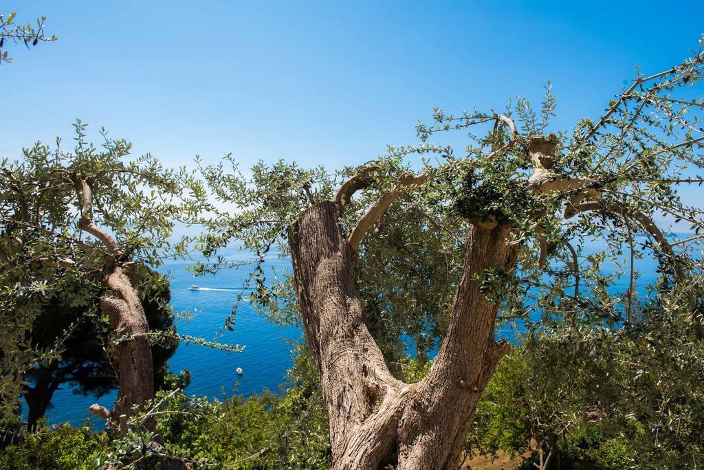 Villa De Rosa Positano Kültér fotó